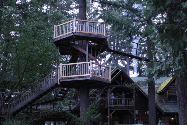 climbstairstraversecatwalkstoyourtreehouse.jpg