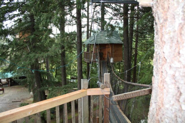 noticetheoccupiedsignacrossyourprivatecatwalktoyourtreehouse.jpg